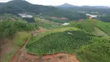 Bán Đất Nghỉ Dưỡng , Canh Tác Tại Lang Biang, Đà Lạt , Lâm Đồng - Ảnh 2