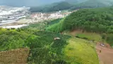 Bán Đất Nghỉ Dưỡng , Canh Tác Tại Lang Biang, Đà Lạt , Lâm Đồng - Ảnh 1
