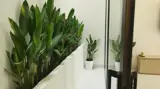 Bán Nhà Mặt Tiền 2 Tầng, 3Pn Đường 848 An Hòa, Tp Sa Đéc, Đồng Tháp. Dt 65M2, Sổ Hồng - Ảnh 5