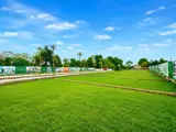 Chỉ Hơn 2 Tỷ – Sở Hữu Ngay Lô Đất 100M² Thổ Cư, Vị Trí Đẹp Tại Phú Cát - Ảnh 2