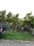 Bán Gấp Lô Đất Đẹp,Full Thổ Cư,Chỉ 5Tr/m,Trung Tâm Thị Xã Kỳ Anh, Hà Tĩnh- Giá Tốt Đầu Tư - Ảnh 2