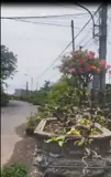 Bán Nhà Đường Trần Khánh Dư- Khu Làng Hoa Sa Đéc, 380M2, Giá 2 Tỷ 8 - Ảnh 3