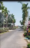 Bán Nhà Đường Trần Khánh Dư- Khu Làng Hoa Sa Đéc, 380M2, Giá 2 Tỷ 8 - Ảnh 1