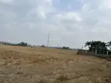 Bán Đất Tân Bửu, Bến Lức, Long An 20.335M2 Giá 3,5Tr/m Cách Đường Nguyễn Hữu Trí 300M - Ảnh 3