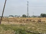 Bán Đất Tân Bửu, Bến Lức, Long An 20.335M2 Giá 3,5Tr/m Cách Đường Nguyễn Hữu Trí 300M - Ảnh 5