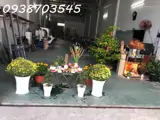 Bán Nhà Mt Trần Văn Giàu Bình Chánh 6,45 X50m 250M2 Thổ Cư Giá 11,7 Tỷ - Ảnh 3