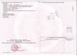 Đất Dân Cắt Tại Xã Diên Toàn , Cách Chợ Đông Dinh Và Trường Tiểu Học Diên Toàn Chỉ 150M - Ảnh 2
