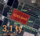 Bán Gấp Lô Lúa Chuyển Thổ Phân Lô Giá Đầu Tư 3,1 Tỷ - Ảnh 1