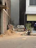 Cắt Lỗ Sâu Chỉ Còn 7,8 Tỷ Lô 45M Trục Đường Oto Tránh Kinh Doanh Hoài Đức - Ảnh 2