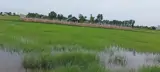 Chính Chủ Bán Đất 2 Mặt Tiền Xã Đức Lập Tây Ninh 1678M2 Sổ Hồng Riêng Chỉ 7 Ty 900 Tr - Ảnh 3