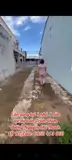 Chính Chủ Cần Bán Nhà Và 1 Lô Đất Đ. Nguyễn Chí Thanh, Khóm 2, Tt.tràm Chim, Tam Nông, Đồng Tháp - Ảnh 3
