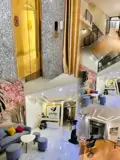 Cho Thuê Nhà Mặt Tiền Đường Hiền Vương – Tòa Nhà 6 Tầng Có Thang Máy, Phù Hợp Văn Phòng Và Giáo Dục - ảnh 2