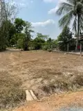 Đất Đẹp – Giá Tốt- Chính Chủ Cần Bán Đất Tại Khu Phố Lộc Khê, Phường Gia Lộc, Thị Xã Trảng Bàng, - Ảnh 4