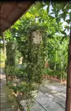 Bán Đất Thổ Cư 864M2 Sổ Hồng Nguyễn An Ninh, Tân Quy Đông, Sa Đéc. Giá 2.5 Tỷ - Ảnh 3