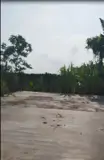 Bán Đất Thổ Cư 864M2 Sổ Hồng Nguyễn An Ninh, Tân Quy Đông, Sa Đéc. Giá 2.5 Tỷ - Ảnh 5