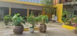 Chính Chủ Cho Thuê Mặt Bằng Kinh Doanh Và Nhà Ở Hơn 500M² – Vị Trí Đẹp Tại Cần Giờ - Ảnh 1