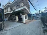 Bán 2 Lô Mai Hắc Đế – Tt Đà Lạt - Ảnh 1