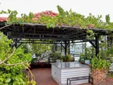 Bán Nhà 5 Tầng, 52M2, Đường Số 38, Hiệp Bình Chánh, Thủ Đức, Tp Hcm, Shr. Giá 7,75 Tỷ - Ảnh 4