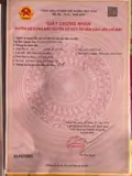 Gửi 500 Ace Bán Phụ Lô Đất Ở Kp Phước Thịnh, Phường Nhơn Trạch, Tp Đồng Nai, Hh 2% Ace Nhận Đủ - Ảnh 4