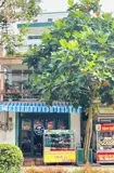 Chính Chủ Chuyển Nhượng Nhà Mặt Tiền Trung Tâm Tp. Pleiku – Vị Trí Vàng Kinh Doanh - ảnh 4