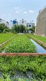 [K2580*] Đất Vuông Vức 100M2 Hẻm Xe Hơi Sát Chợ Thạnh Xuân, Giá Đầu Tư Cực Rẻ 2.X Tỷ! - Ảnh 3