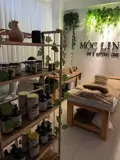 Quận 2 ! Sang Rẻ Chỉ 49 Tr, Spa Gội – Body Decor Đẹp, Mb Thuê Rẻ : 6,5Tr, Kdc Cắt Lái Dân Cư Đông, - Ảnh 5