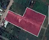 Hàng Hiếm Bà Điểm – 10.138M² Mặt Tiền, Ngang 42M Nở Hậu 91M, Đất Khủng - Ảnh 2