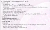 Đất Chính Chủ Gần 3Ha Mặt Tiền Đường Dh502 – Giá Tốt - Không Qua Trung Gian - Ảnh 2