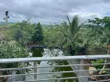 Đất 2 Mặt Tiền Dh1 – 2.200M² – Có Nhà Sàn & Vườn Cây Ăn Trái - Ảnh 2