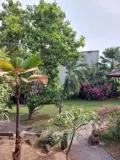 Bán Biệt Thự Vườn Hxh 8M Đường Số 38 - Hiệp Bình, 30X40m, 2 Tầng, Full Thổ Cư, Chỉ 42 Tỷ - Ảnh 5