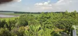 Nhà Vườn Sinh Thái Nghỉ Dưỡng Camping Hoặc Văn Phòng Công Ty -  Ảnh 5