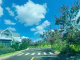 Chủ Cần Bán Gấp Villas Nghĩ Dưỡng Bảo Lộc - Cách Đồi Trà Tâm Châu Chỉ 1 Km - Chỉ 3.650 Tỉ - Ảnh 5
