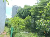 Bán Gấp Nhà Vườn 660M2 , Đường 182, Tăng Nhơn Phú A, Q9. Thủ Đức, Tp Hcm. Giá 18.3 Tỷ - Ảnh 5