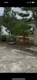 Chính Chủ Cần Bán Đất Biệt Thự Nghỉ Dưỡng Biển Giáng Hương, Xã Vĩnh Thái, Thành Phố Nha Trang - Ảnh 4