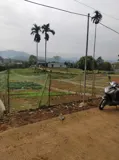 Cơ Hội Đầu Tư Giàu Nhanh - Chính Chủ Cần Bán Gấp Lô Đất Đắt Giá Tại Cao Phong, Thành Phố Hòa Bình Cũ - Ảnh 2