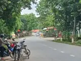 Hot Hot – Chính Chủ Cần Bán Đất Mặt Tiền Ql.217, X. Cẩm Ngọc, H. Cẩm Thủy, T. Thanh Hóa - Ảnh 3
