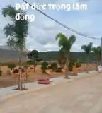 Ngõ Đồng Dao (Trục Thống Nhất Rẽ Vào), Xã Đức Trọng, Lâm Đồng - Ảnh 2