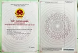 Đầu Tư Sinh Lời - Đất Đẹp – Chính Chủ Cần Bán Đất Đường Quốc Lộ 50, Xã Mỹ Lệ, Huyện Cần Đước, Long - Ảnh 2