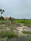 Chính Chủ Cần Bán Đất Mặt Tiền Đường Nhựa – Vị Trí Đẹp, Tiềm Năng Đầu Tư Cao - Tại Xã Mộc Hoá, Tỉnh - Ảnh 3