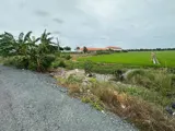 Chính Chủ Cần Bán Đất Mặt Tiền Đường Nhựa – Vị Trí Đẹp, Tiềm Năng Đầu Tư Cao - Tại Xã Mộc Hoá, Tỉnh - Ảnh 4
