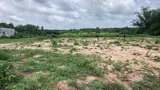 Bán Đất 600M2 Có Sẵn 50 M2 Thổ Cư Giá 1.5 Tỷ Tại Đường Cây Trôm Mỹ Khánh Huyện Củ Chi - Ảnh 2