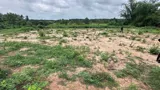 Bán Đất 600M2 Có Sẵn 50 M2 Thổ Cư Giá 1.5 Tỷ Tại Đường Cây Trôm Mỹ Khánh Huyện Củ Chi - Ảnh 3