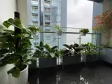 Bán Ch 3Pn Tầng Cao Sunshine City S4 105M² View Sông Hồng - Cầu Nhật Tân Giá 13,7 Tỷ - Ảnh 5