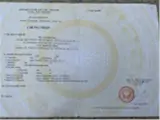 Chính Chủ Bán Đất Mặt Tiền Đường Trục Chính Đường Mỹ Xuân-Ngãi Giao Trung Tâm Phường Tân - ảnh 3