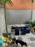 Nhà Đẹp- Giá Tốt Bán Nhanh Nhà Sổ Hồng Riêng Tại Thành Phố Thủ Dầu Một, Bình Dương - Ảnh 5