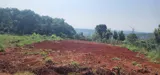 Đất Đẹp – Giá Tốt – Chính Chủ Cần Bán Đất Tại Nam Hà, Lâm Hà, Lâm Đồng - Ảnh 3