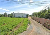 Bán Đất 369M² 5 Tỷ Gần Tt Hành Chính Đức Trọng, Lâm Đồng - Sổ Riêng - Ảnh 4