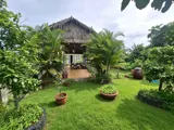 Chỉ 5,2 Tỷ Sở Hữu Ngay Nhà Vườn Hơn 1 100M² – Đẹp Như Resort Tại Xã Trung Hoà, Chợ Gạo, Tiền Giang - Ảnh 2