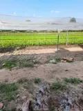[T2680*] Cơ Hội Đầu Tư Trang Trại Thu Nhập 200Tr/tháng Sát Bv An Nhơn Tây - Giá 15.X Tỷ - Ảnh 1