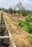 [L2682*] 1.8Ha Đất Trồng Sầu Riêng Sát Chợ Truông Mít - Giá 5.X Tỷ - Ảnh 3
